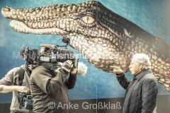 © Anke Großklaß