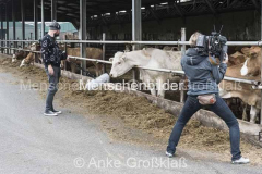 © Anke Großklaß