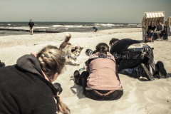 © Anke Großklaß