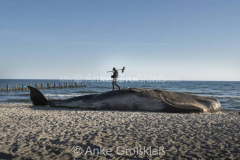 © Anke Großklaß