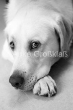 © Anke Großklaß